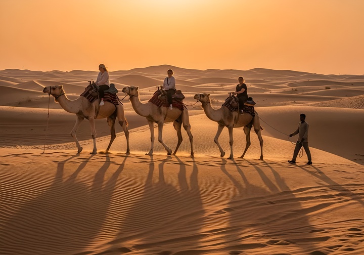 camel ride