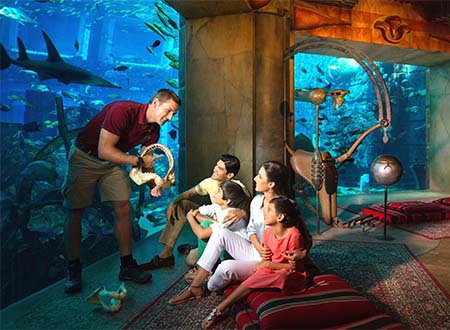 The Lost Chambers Aquarium Tour