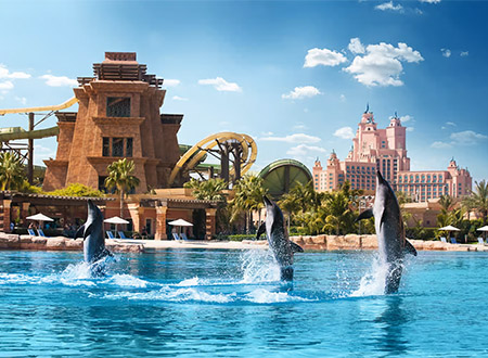 Dolphin Bay at Aquaventure World Tour