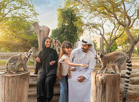 Dubai Safari Park Wildlife Adventure Tour