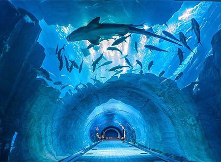 The Dubai Mall Tour