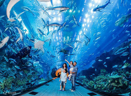 Dubai Aquarium & Underwater Zoo Tour