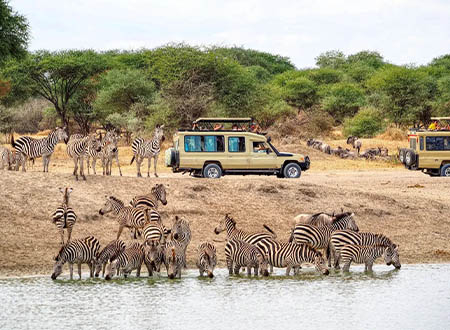 Africa